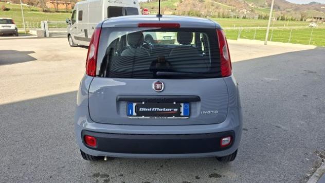 FIAT Panda 1.0 FireFly Hybrid City Life LEGGE 104 IVA ESPOSTA rif. 23401849 - Foto 8