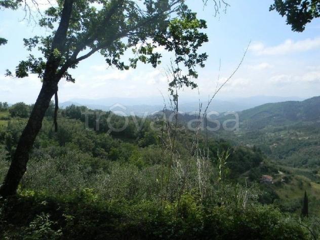 Casa singola in vendita a Fosdinovo 42 mq Rif: 1036132 - Foto 3