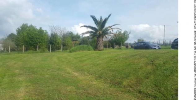 Immobile in asta di 253 m², box auto in vendita a Segni - Foto 5