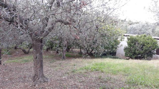Vendita Terreno edificabile da 950 mq in Via Alessandro III con giardino - Foto 3