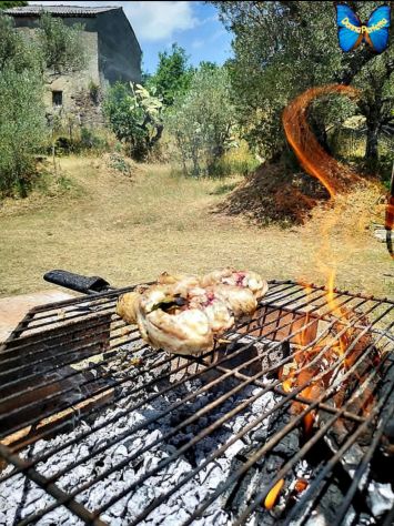 Villetta affittasi mesi estivi a Olivadi (Catanzaro) - Foto 7