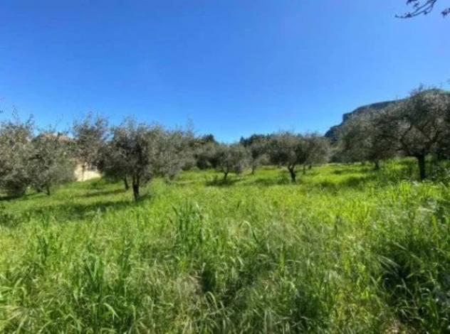 Immobile in asta di 3414 m² in vendita a Corleone - Foto 2