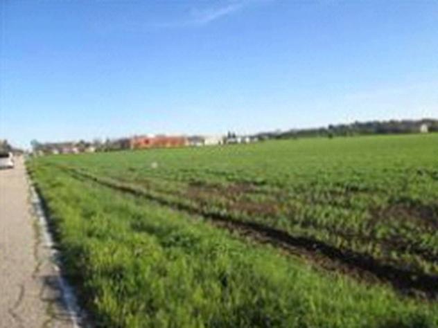 Immobile in asta di 83314 m² in vendita a Mondolfo - Foto 9