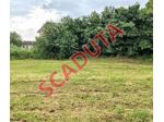 Immobile in asta di 612 m² in vendita a Sarego