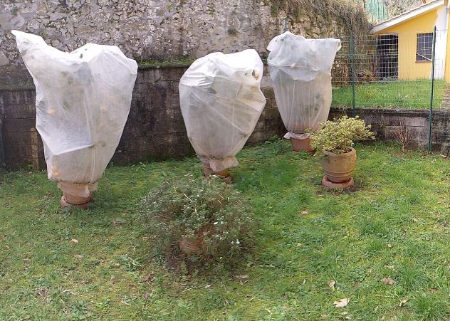 Deliziosa villetta in collina a pochi chilometri da Montecatini Terme - Foto 2