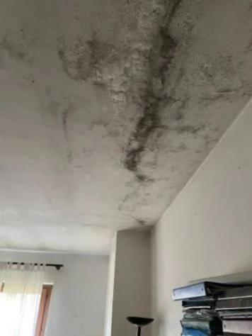 Immobile in asta di 532 m² con più di 5 locali e box auto in vendita a Scalenghe - Foto 15