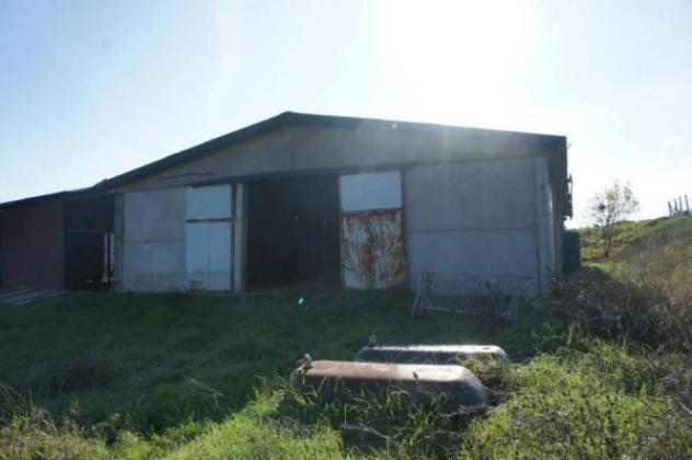Immobile in asta di 1900000 m² in vendita a Piancastagnaio - Foto 11