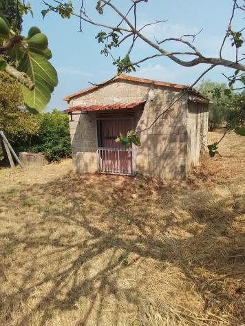 Terreno edif. residenziale in vendita a San Pietro In Belvedere - Capannoli 6500 mq Rif: 1337843 - Foto 2