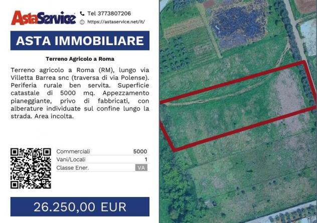 Tribunale Roma - RGE 792/2015 - L2638529 - Terreno Agricolo a Roma