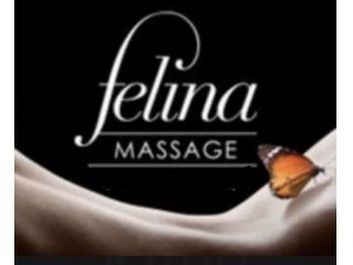 Massaggi - benessere Foggia - STUDIO Benessere FELINA Tel:3508405696