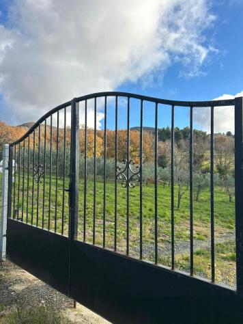 Terreno agricolo in vendita a Castellina Marittima 2000 mq Rif: 1386396 - Foto 6