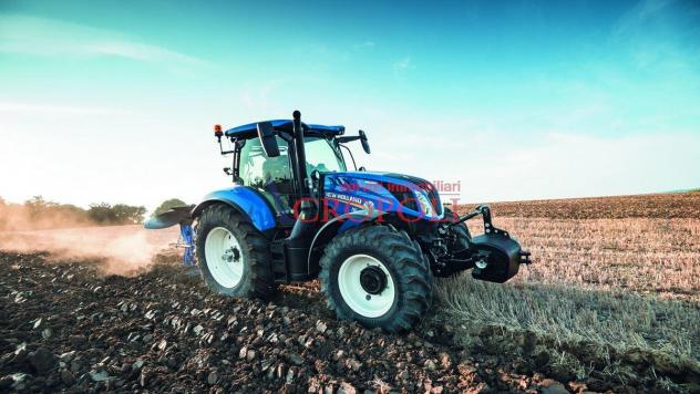 FIUMICINO, CASALE CON TERRENO AGRICOLO IN VENDITA - Foto 5