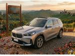 BMW X1 xDrive 23i xLine - TETTO - TELECAMERA 3D rif. 23328327