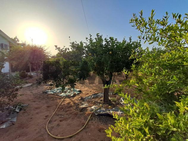 Villa o villino in vendita a Ragusa, Punta Braccetto - Foto 18