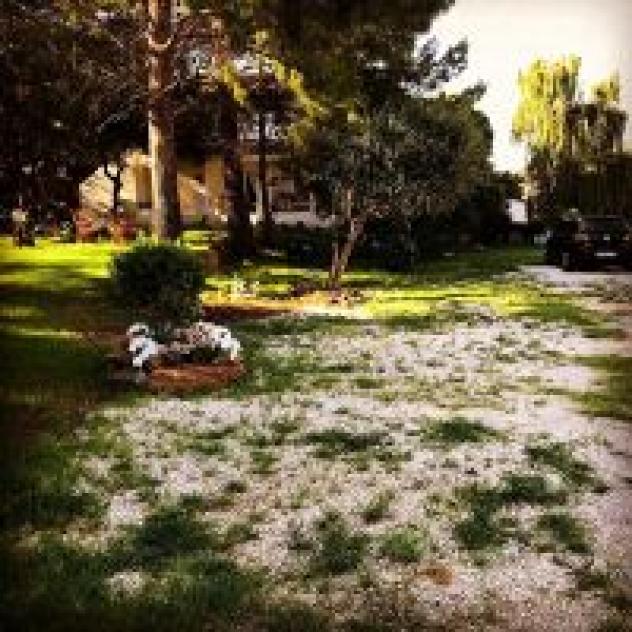 Il Salice B&B Casa Vacanze - Foto 4