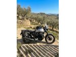 moto guzzi V7 III rought 2018