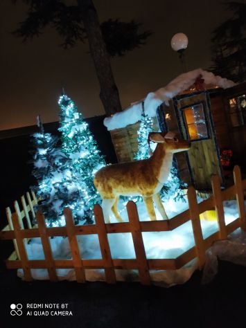 Allestimento Villaggio di Babbo Natale - Foto 5