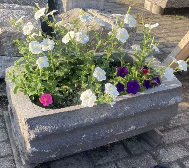 Antica mangiatoia in pietra lavica – Fioriera, lavabo e arredo per giardino - Foto 8