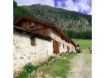 Nestalp Malga Campo
