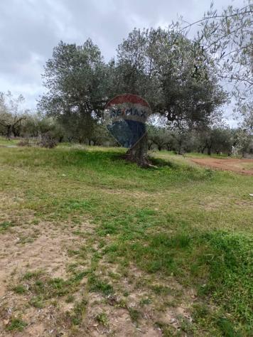 Terreno in vendita a Caltagirone, Santo Pietro - Foto 17
