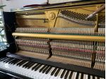 ACCORDATORE PIANOFORTI BERGAMO E PROVINCIA