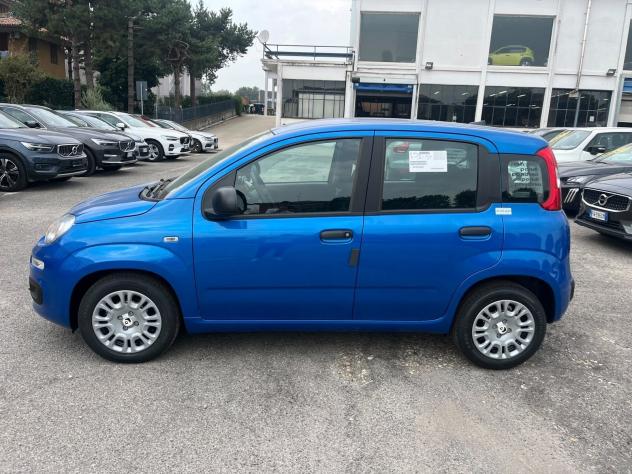 FIAT Pandina Pandina 1.0 firefly hybrid Icon s&s 65cv - Foto 6
