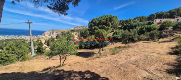 ZONA PARCO AVVENTURA – Soluzione indipendente+terreno - Foto 4