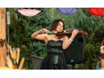 Musica per matrimoni a Besozzo