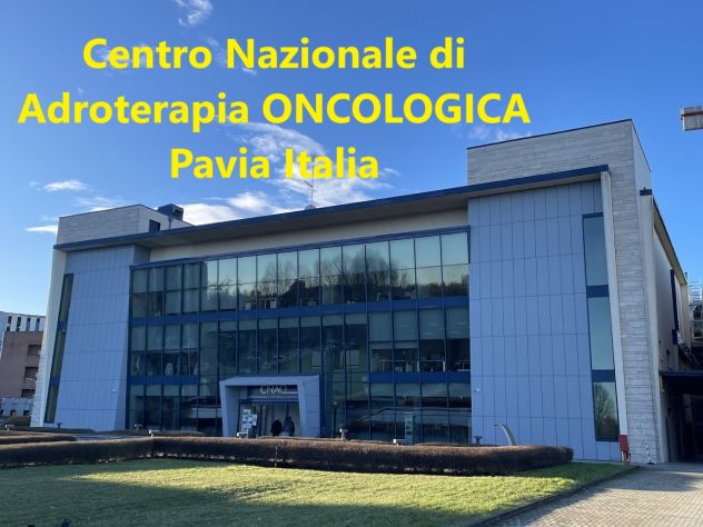 Stazione Pavia Appartamento Manzoni13 Ospedali - affitto breve - Foto 9