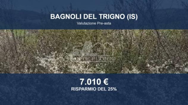 Immobile in asta di 10611 m² in vendita a Bagnoli del Trigno