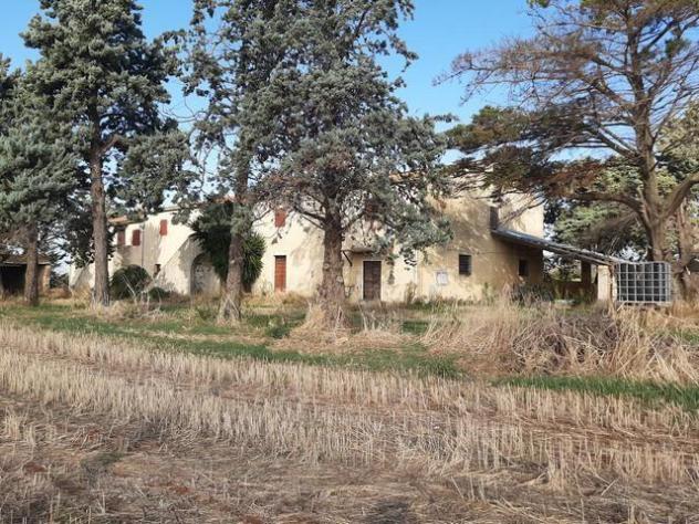 Rustico in vendita a Vada - Rosignano Marittimo 6000 mq Rif: 1198833 - Foto 8