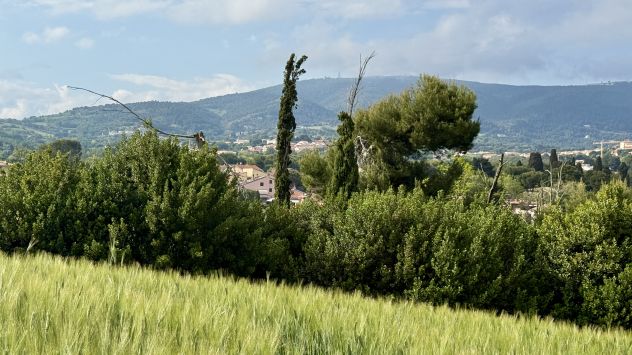 Famiglia cerca coppia filippina – lavoro stabile con alloggio