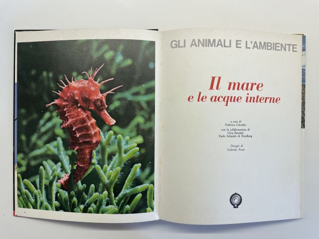 Il mare e le acque interne, Federica Colombo - Foto 3