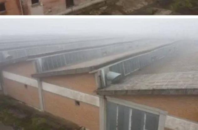 Immobile in asta di 10830 m² in vendita a Novi di Modena - Foto 10