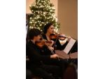 Violinista per matrimoni e cerimonie