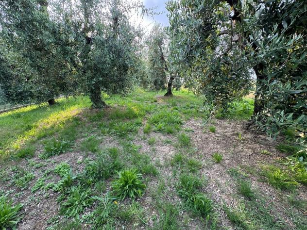 Terreno agricolo in vendita a Ripoli - Cascina 740 mq Rif: 1329214 - Foto 4