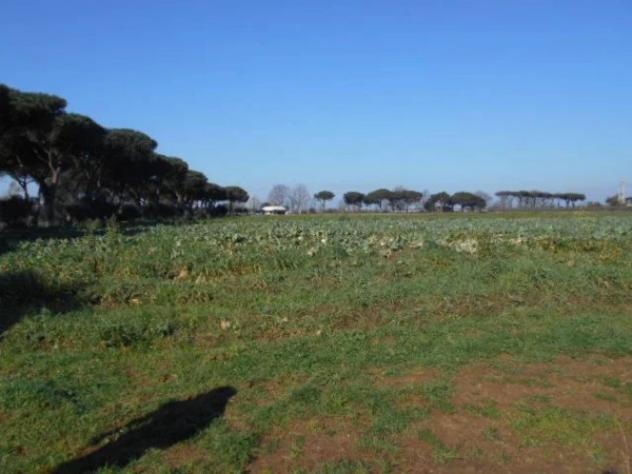 Immobile in asta di 82648 m² in vendita a Latina - Foto 11