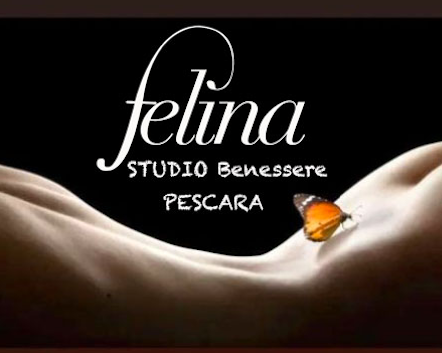 * * *Studio FELINA* * * LASCIATI MASSAGGIARE DA MANI ESPERTE- . . . - Tel:3311958889