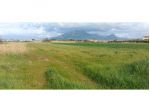 Agricolo in Via Quistione 1