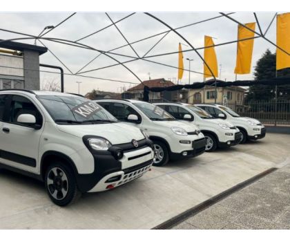 Panero Auto SRL - Foto 3