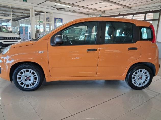 FIAT Panda 3ª serie 1.0 FireFly S&S Hybrid - Foto 7