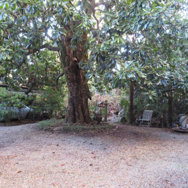 Verbania - ZONA PALLANZA VENDESI VILLA CON GIARDINO PRIVATO - Foto 6