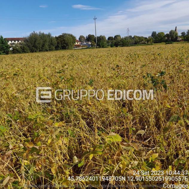 Terreno di 16800 mq in vendita a Fossalta di Portogruaro - Rif. 4551605 - Foto 3