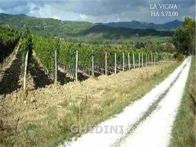 TERRENO AGRICOLO di 10 vani e di 310 mq (ROCCASTRADA - MONTEMASSI) rif. 1891.260M - Foto 16
