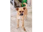 18mesi 15kg SALITO A MILANO E TORNATO DOPO 10GG IN CALABRIA!!! HELP