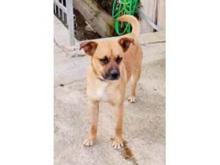 2anni 15kg SALITO A MILANO E TORNATO DOPO 10GG IN CALABRIA!!! HELP