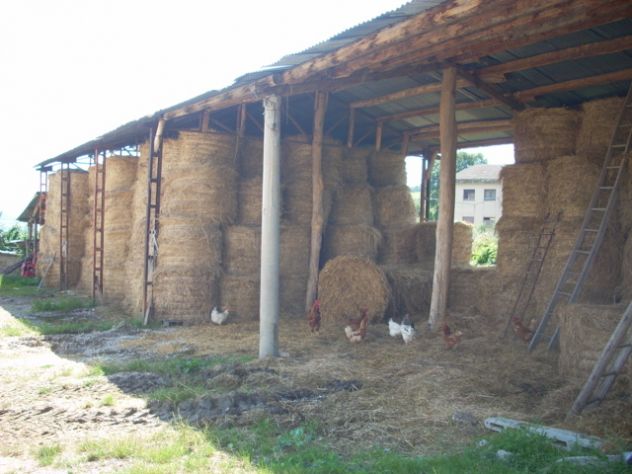 Casale con terreno nel comune di Campli (Te) - Foto 5