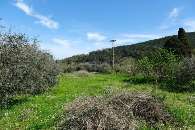 Casa singola in vendita a Coselli - Capannori 210 mq Rif: 1302289 - Foto 10