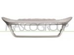 CORNICE GRIGLIA ARGENTO FT9322305 Carrozzeria  Lamierati esterni  Paraurti  &hellip;