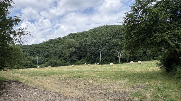Terreno agricolo 12.000 mq con fronte strada - Foto 5